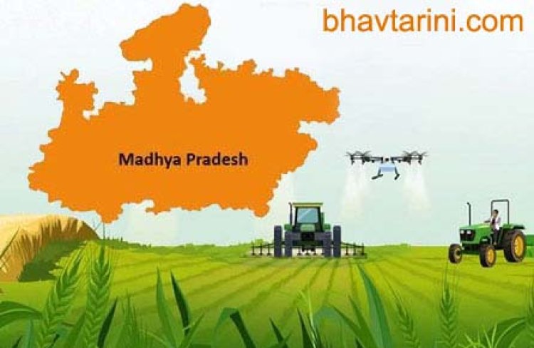कृषि के क्षेत्र में मध्यप्रदेश स्थापित कर रहा है नये कीर्तिमान