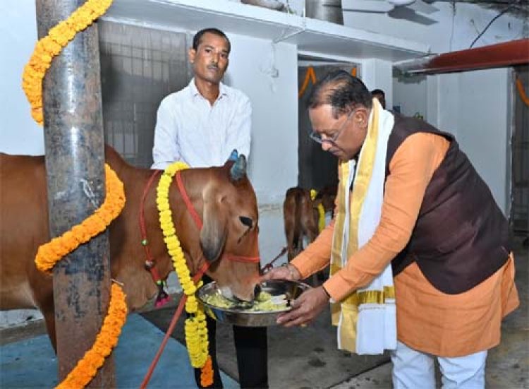 गोवर्धन पूजा के अवसर पर मुख्यमंत्री ने किया गौपूजन, प्रदेशवासियों की सुख-समृद्धि की कामना की