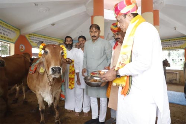 गाय का दूध, घी, दही, छाछ स्वास्थ्यवर्धक, पशुपालन मंत्री गोपाष्टमी पर कोटा में गौमाता का पूजन कर लिया आशीर्वाद