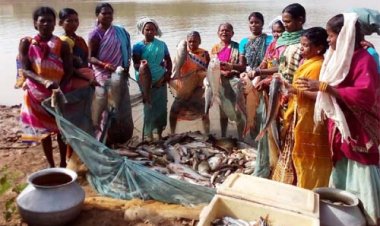 बस्तर में हो रहा नीली क्रांति का आगाज, राज्य निर्माण से अब तक मत्स्य उत्पादन में हुई 08 गुना वृद्धि