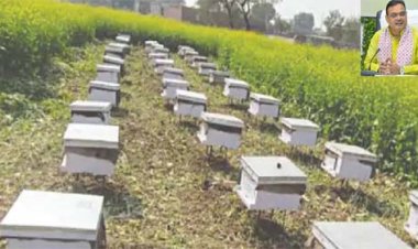 मुख्यमंत्री भजनलाल शर्मा के नेतृत्व में प्रदेश के मधुमक्खी पालकों का हुआ आर्थिक सशक्तीकरण