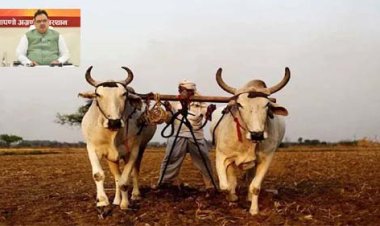 मुख्यमंत्री भजनलाल शर्मा की पारंपरिक खेती एवं गौवंश संरक्षण को बढ़ावा देने की अनूठी पहल, बैलों से खेती पर लघु एवं सीमांत किसानों को प्रतिवर्ष 30 हजार रुपये की आर्थिक सहायता
