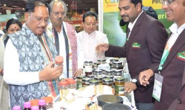 अंतरराष्ट्रीय व्यापार मेले में  मुख्यमंत्री विष्णुदेव साय ने छत्तीसगढ़ पेवेलियन का किया अवलोकन