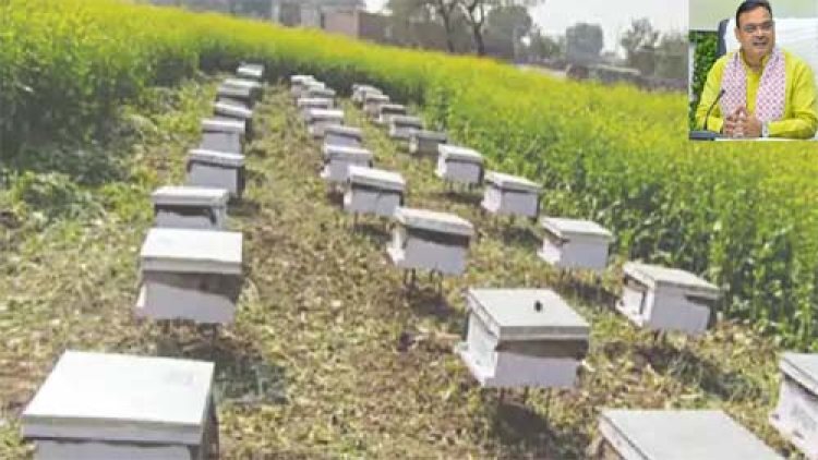मुख्यमंत्री भजनलाल शर्मा के नेतृत्व में प्रदेश के मधुमक्खी पालकों का हुआ आर्थिक सशक्तीकरण