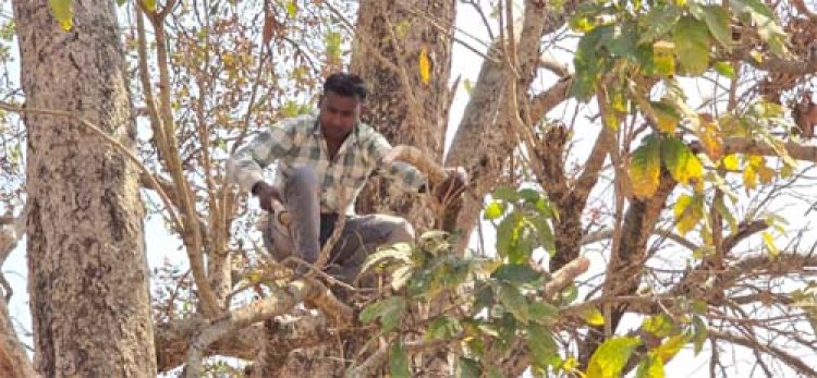 सुदूर अंचल में वन विभाग की पहल से बदल रहा ग्रामीणों का जीवन