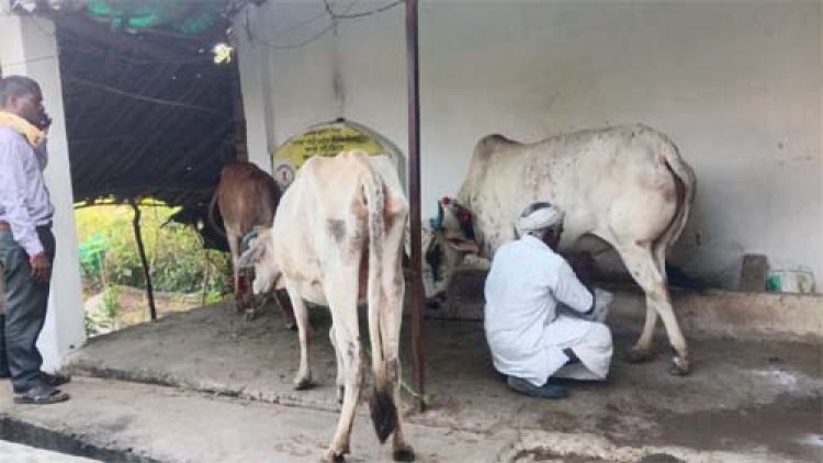 महात्मा गांधी नरेगा ने बदली बुलबुलराम की किस्मत