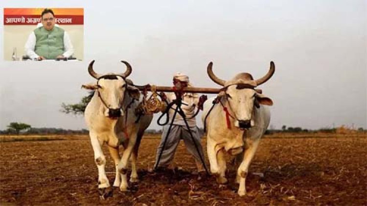 मुख्यमंत्री भजनलाल शर्मा की पारंपरिक खेती एवं गौवंश संरक्षण को बढ़ावा देने की अनूठी पहल, बैलों से खेती पर लघु एवं सीमांत किसानों को प्रतिवर्ष 30 हजार रुपये की आर्थिक सहायता