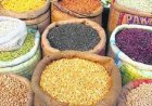 किसानों से दलहन-तिलहन उपार्जन की केन्द्र ने दी स्वीकृति : मार्कफेड सहकारी समितियों के माध्यम से करेगा उपार्जन
