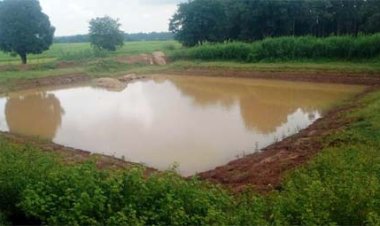 डबरी निर्माण से ग्रामीण आजीविका को मिल रही नई दिशा