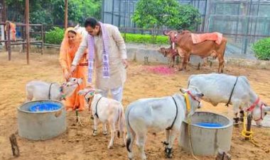 सुशासन और विकास के दो वर्ष: राज्य सरकार की द्वितीय वर्षगांठ पर सोमवार को CM भजनलाल गौसेवा से करेंगे शुरूआत 