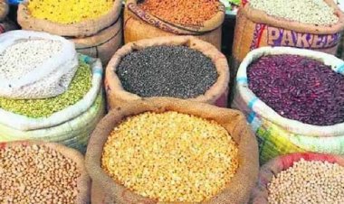 किसानों से दलहन-तिलहन उपार्जन की केन्द्र ने दी स्वीकृति : मार्कफेड सहकारी समितियों के माध्यम से करेगा उपार्जन