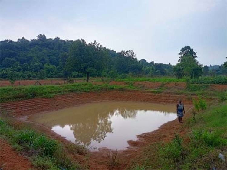 आत्मनिर्भरता, खुशहाली और ग्रामीण प्रेरणा की अद्भुत मिसाल