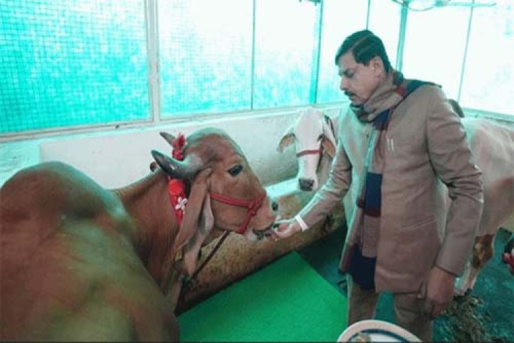 पशुपालकों की समृद्धि की ओर बढ़ रहा मध्यप्रदेश: मुख्यमंत्री डॉ. यादव