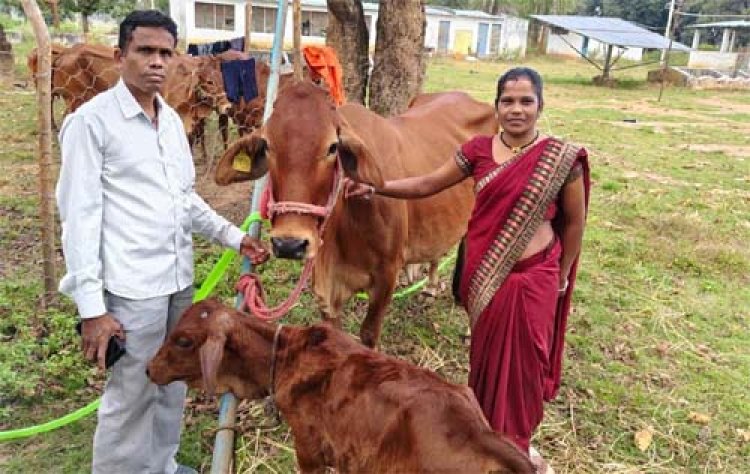 बस्तर संभाग में महिलाएं डेयरी व्यवसाय से बन रही हैं आत्मनिर्भर