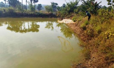 आजीविका डबरी : छोटे किसानों की आत्मनिर्भरता की नई राह