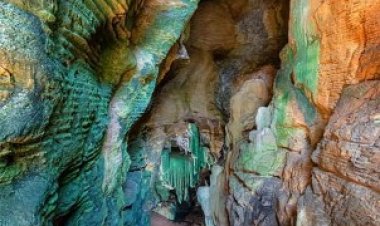 कांगेर घाटी में मिली अनोखी 'ग्रीन गुफा', जल्द खुलेंगे पर्यटन के नए द्वार