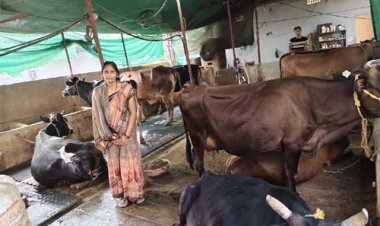 सरकारी योजना से मिली उड़ान, महिला सशक्तिकरण की मिसाल : गृहणी से सफल डेयरी उद्यमी का सफर