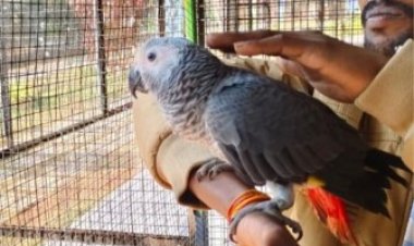 जगदलपुर के लामनी एवीयरी में नए मेहमानों का हुआ स्वागत