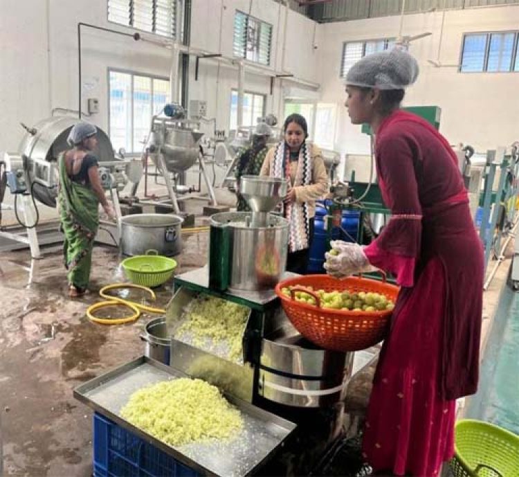 केन्द्रीय प्रसंस्करण इकाई जामगांव एम : ग्रामीण अर्थव्यवस्था और रोजगार को नया बल