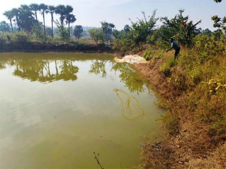 आजीविका डबरी : छोटे किसानों की आत्मनिर्भरता की नई राह