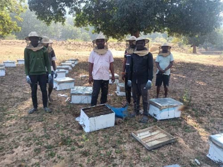 मीठी क्रांति से बदल रहा प्रदेश के किसानों का भाग्य