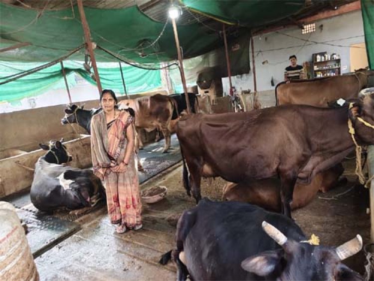 सरकारी योजना से मिली उड़ान, महिला सशक्तिकरण की मिसाल : गृहणी से सफल डेयरी उद्यमी का सफर