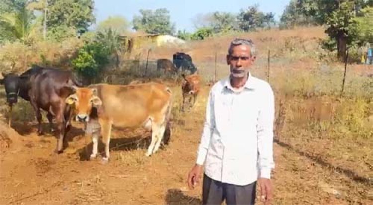 समर्थन मूल्य की गारंटी से बदली किसानों की तक़दीर