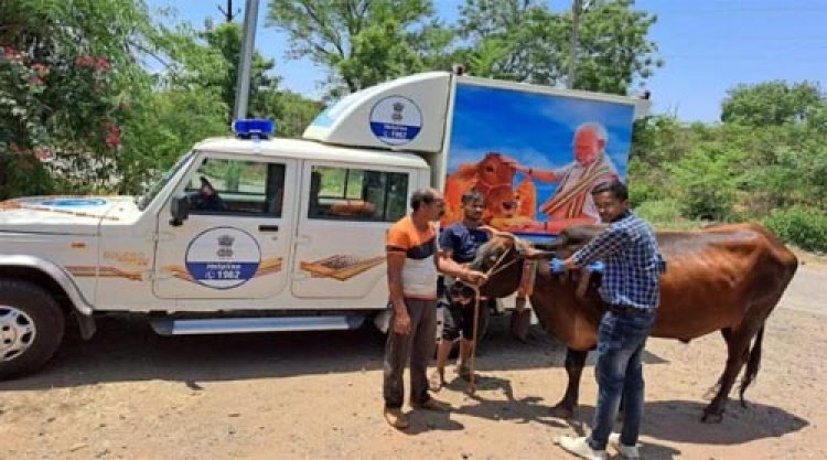 पशुपालन एवं पशु कल्याण को लेकर प्रदेश भर में चलेगा एक माह का जागरूकता अभियान
