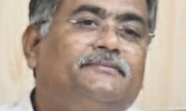 रोजगार और संरचना, विनिर्माण विकसित करने वाला बजट