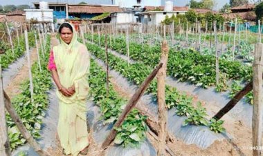 बिहान योजना से आत्मनिर्भर बनी ग्राम झलमला की जानकी धुर्वे