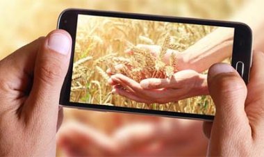 डिजिटल नवाचार से ग्रामीण सशक्तिकरण की मिसालः रायगढ़ की 550 पंचायतों में ‘रोजगार सह आवास दिवस’ पर उमड़ा जनसैलाब