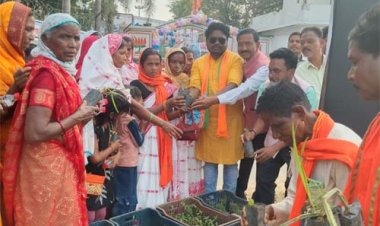 मुख्यमंत्री साय के जन्मदिवस पर पादप बोर्ड द्वारा 2100 औषधीय पौधों का वितरण