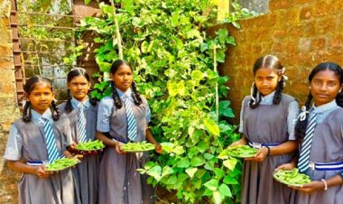 बच्चों को  विद्यालय की बगिया से मिल रहा पौष्टिक आहार