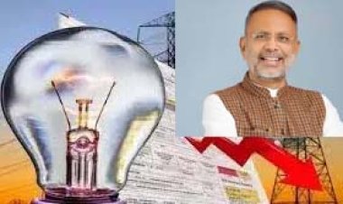 ऊर्जा विभाग की अनुदान मांगें ध्वनिमत से पारित