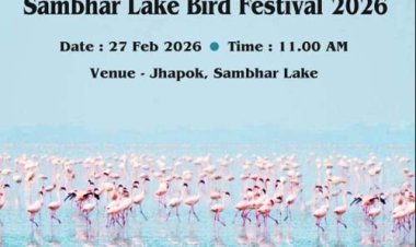 सांभर झील में 27 फरवरी को होगा बर्ड फेस्टिवल का आयोजन