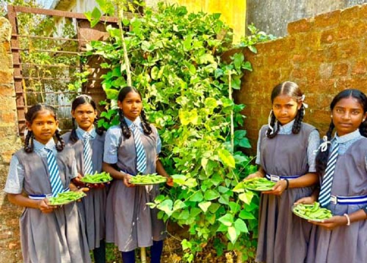 बच्चों को  विद्यालय की बगिया से मिल रहा पौष्टिक आहार