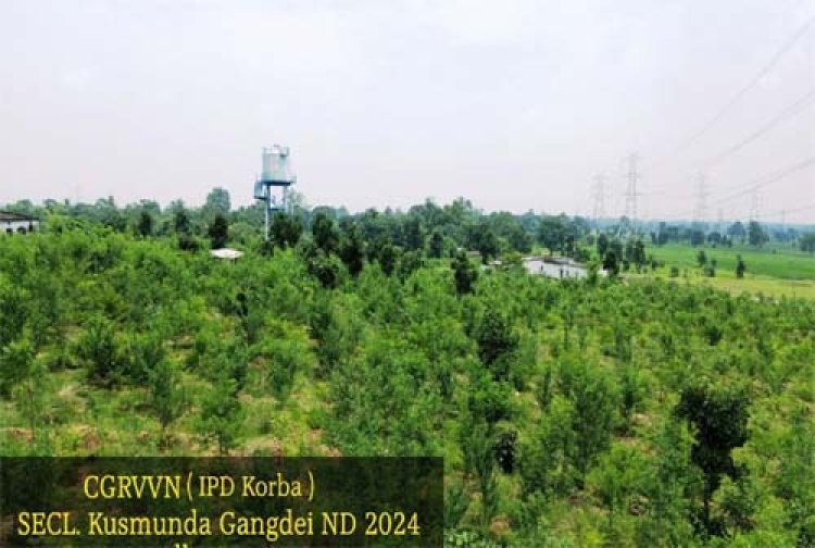 कुसमुंडा परिक्षेत्र में 20,000 पौधों का सफल रोपण