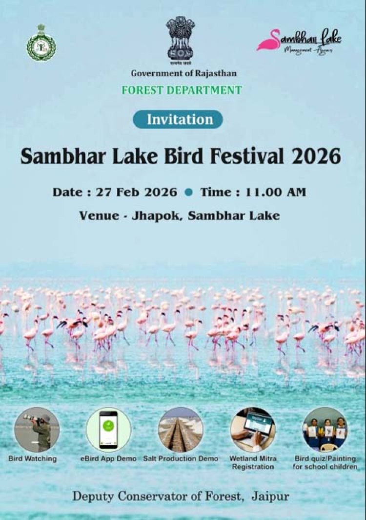 सांभर झील में 27 फरवरी को होगा बर्ड फेस्टिवल का आयोजन
