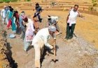 मनरेगा के तहत एक पंचायत में एक साथ बीस से अधिक कार्य अनुमत नहीं: ग्रामीण विकास मंत्री