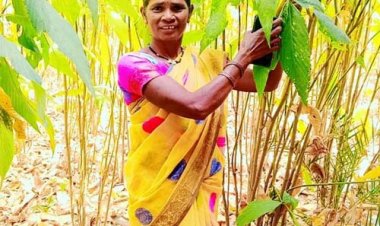 स्व-सहायता समूह से जुड़कर लखपति दीदी बनी कांतिबाई