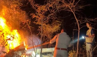 होली के दिन भी वनों की सुरक्षा में जुटे रहे वनकर्मी