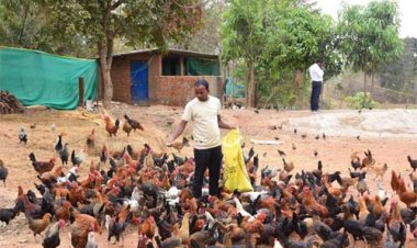 प्रधानमंत्री मत्स्य संपदा योजना, मछली पालन और कृषि से ग्राम पल्ली के किसान पाकलू मरकाम हुए सशक्त 