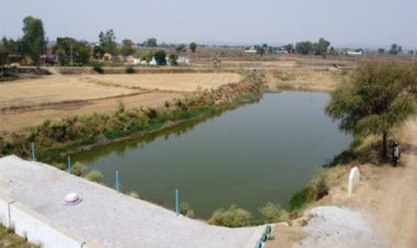 अमृत सरोवर से रिझोरा में लौटी हरियाली और खुशहाली