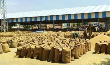 पंजाब के पास गेहूं रखने के लिए कम पड रही है जगह, खरीद से पहले FCI को लिखा पत्र