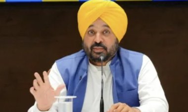 सीएम मान का ‘युद्ध नशे के विरुद्ध’ का असर, नशा छोड़ रोजगार की ओर बढ़ रहा पंजाब का युवा 