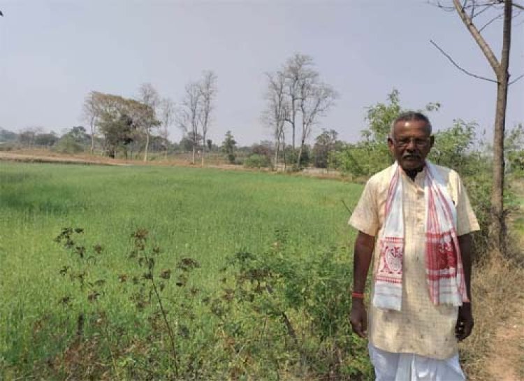उन्नत तकनीकी विधि से गेहूं उत्पादन में वृद्धि, कम लागत में अधिक मुनाफा