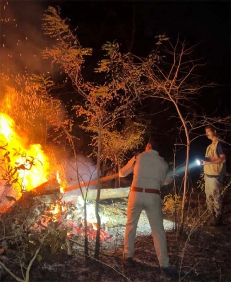 होली के दिन भी वनों की सुरक्षा में जुटे रहे वनकर्मी