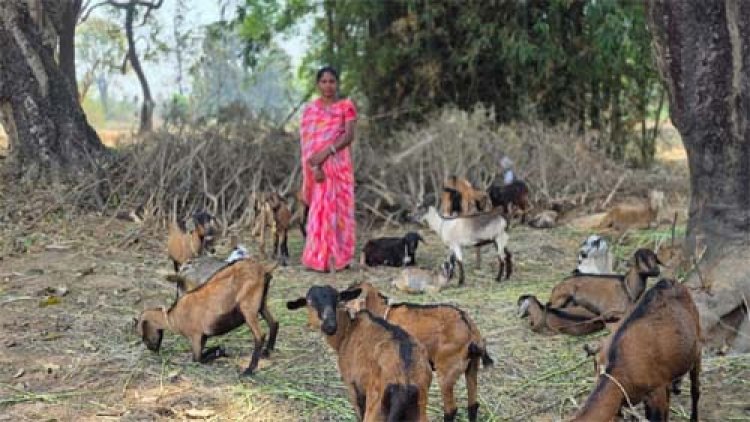 बिहान ने बदली जल कुमारी की तकदीर, अभावों से निकलकर बनीं ’लखपति दीदी’