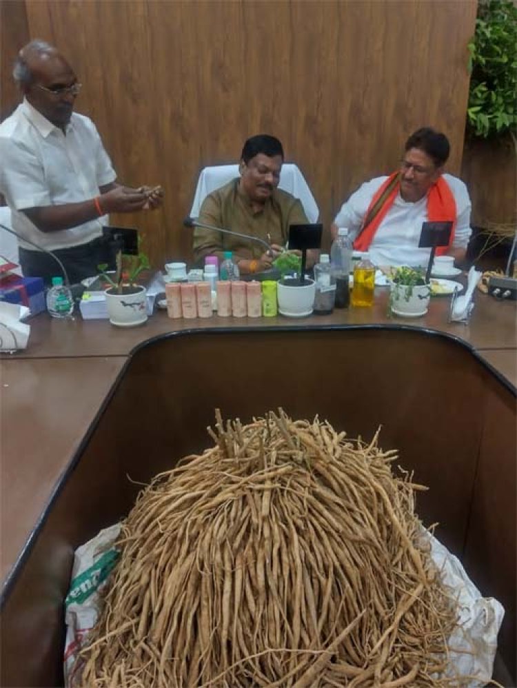 बस्तर और सरगुजा में औषधीय पौधों की योजनाओं का होगा विस्तार : विकास मरकाम
