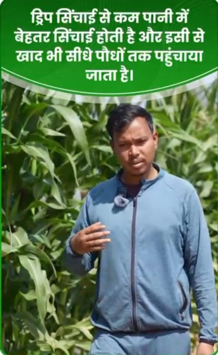 रंग लाई किसान मुकेश की मेहनत, आधुनिक तकनीक से 25 एकड़ में बहुफसली खेती कर बने उन्नत किसान